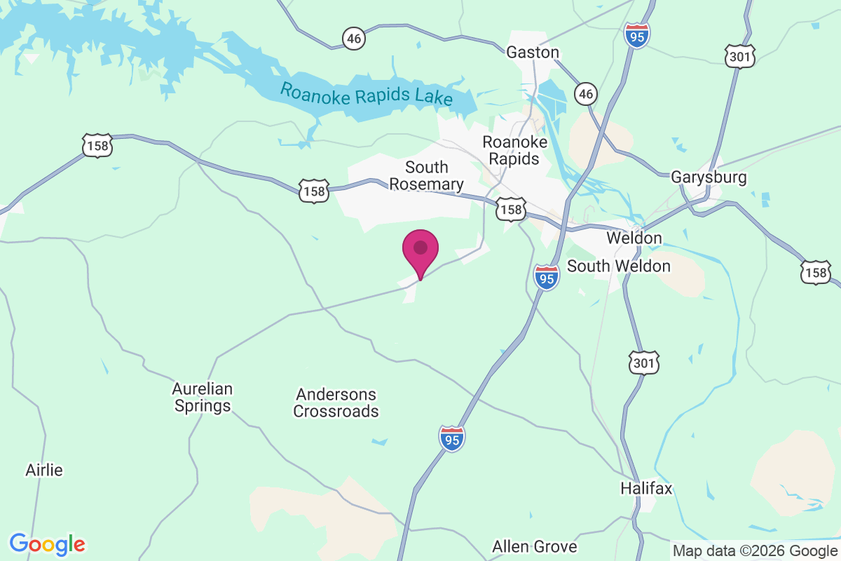 Rheasville map