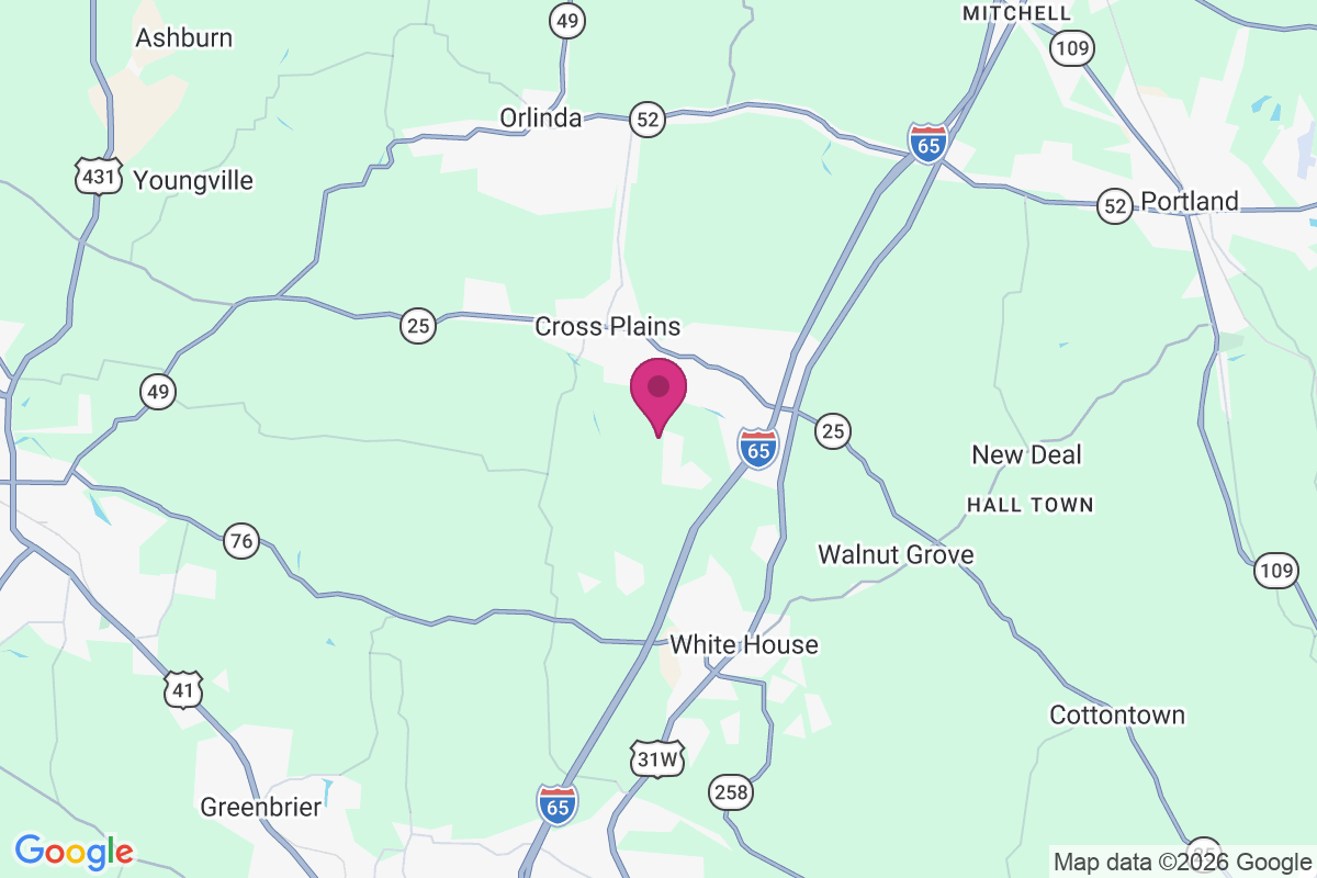 Jernigan Town map
