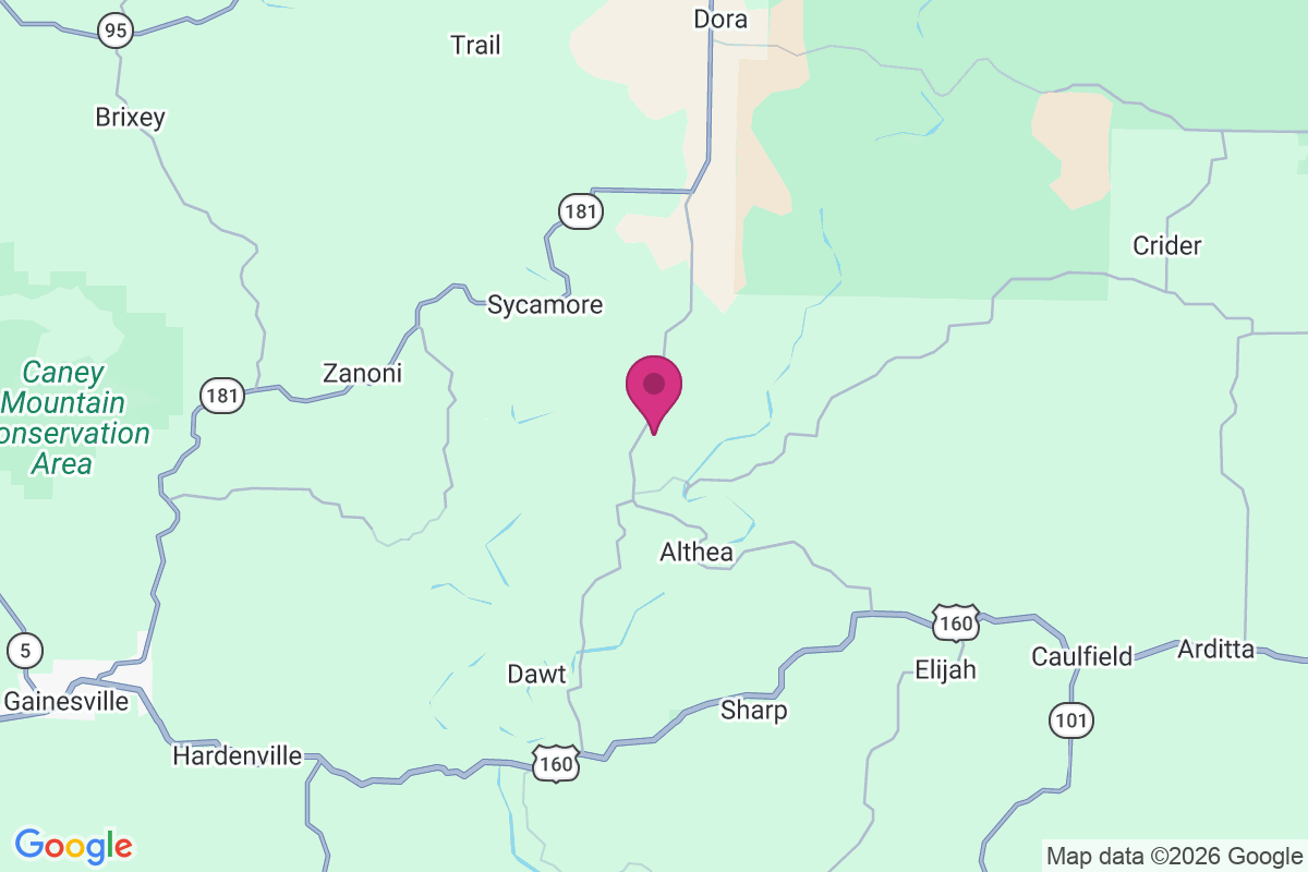 Dormis map