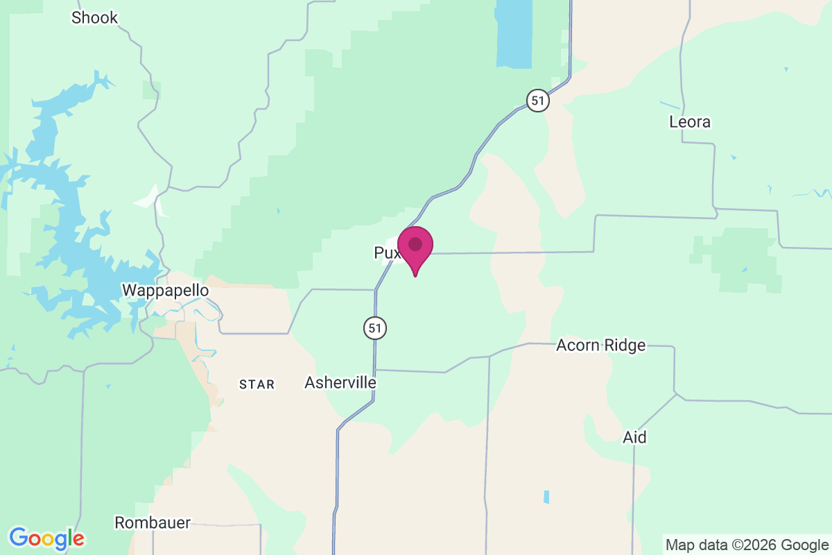 Puxico map