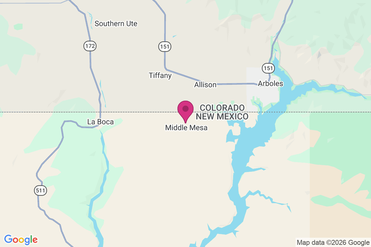 Young Place map