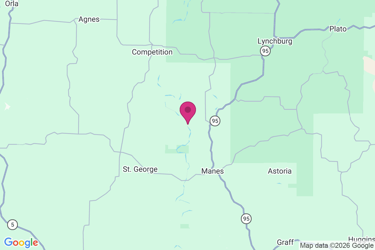 Burney Ford map