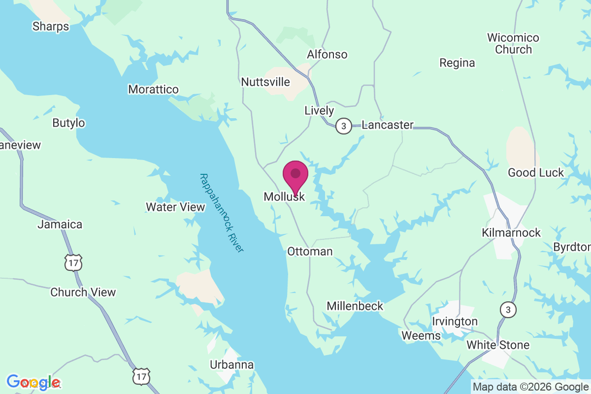 Mollusk map
