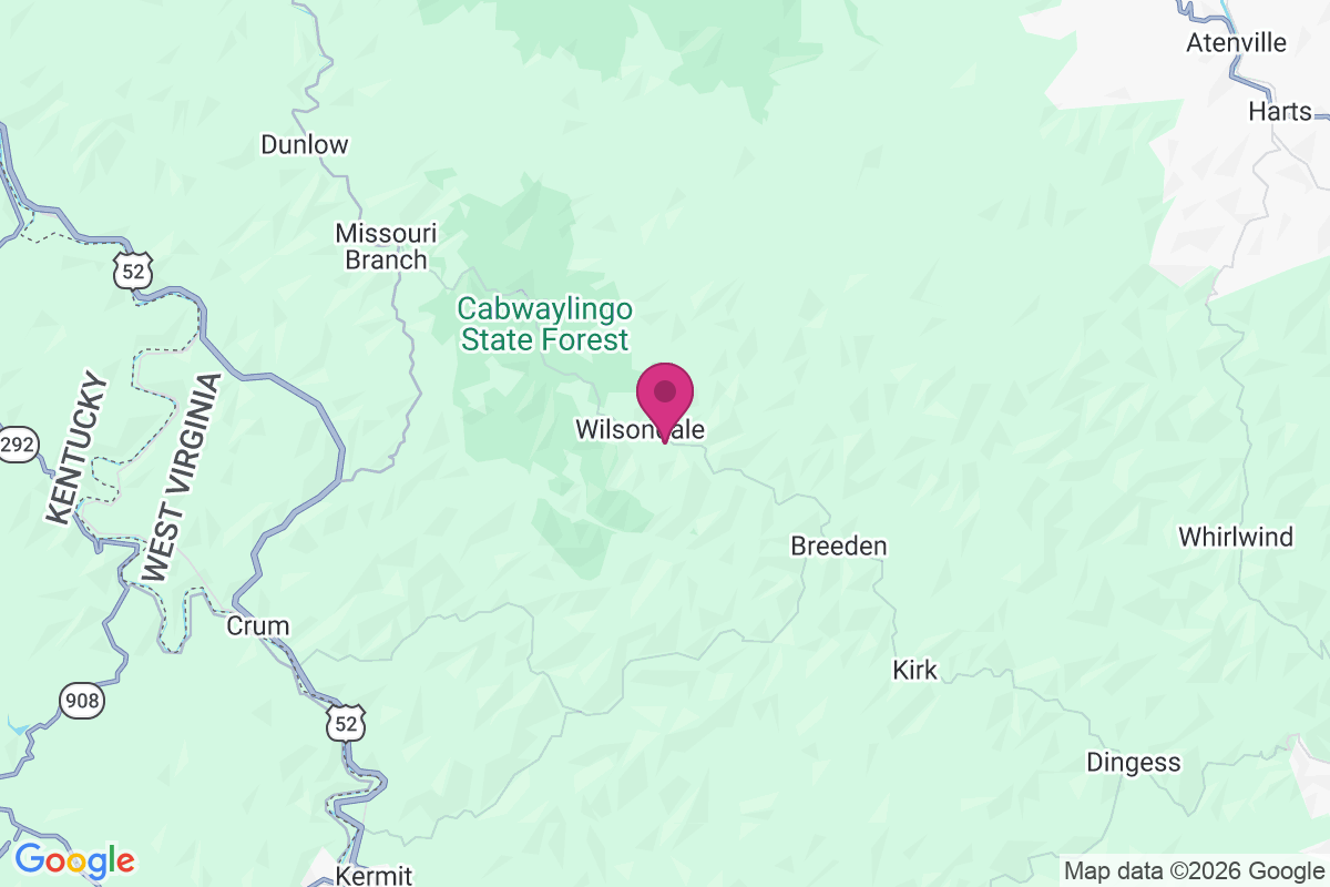 Wilsondale map