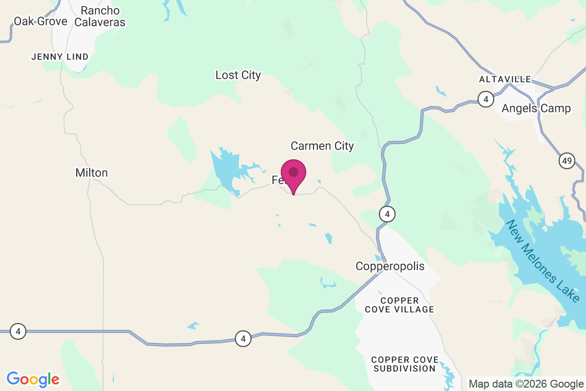 Felix map