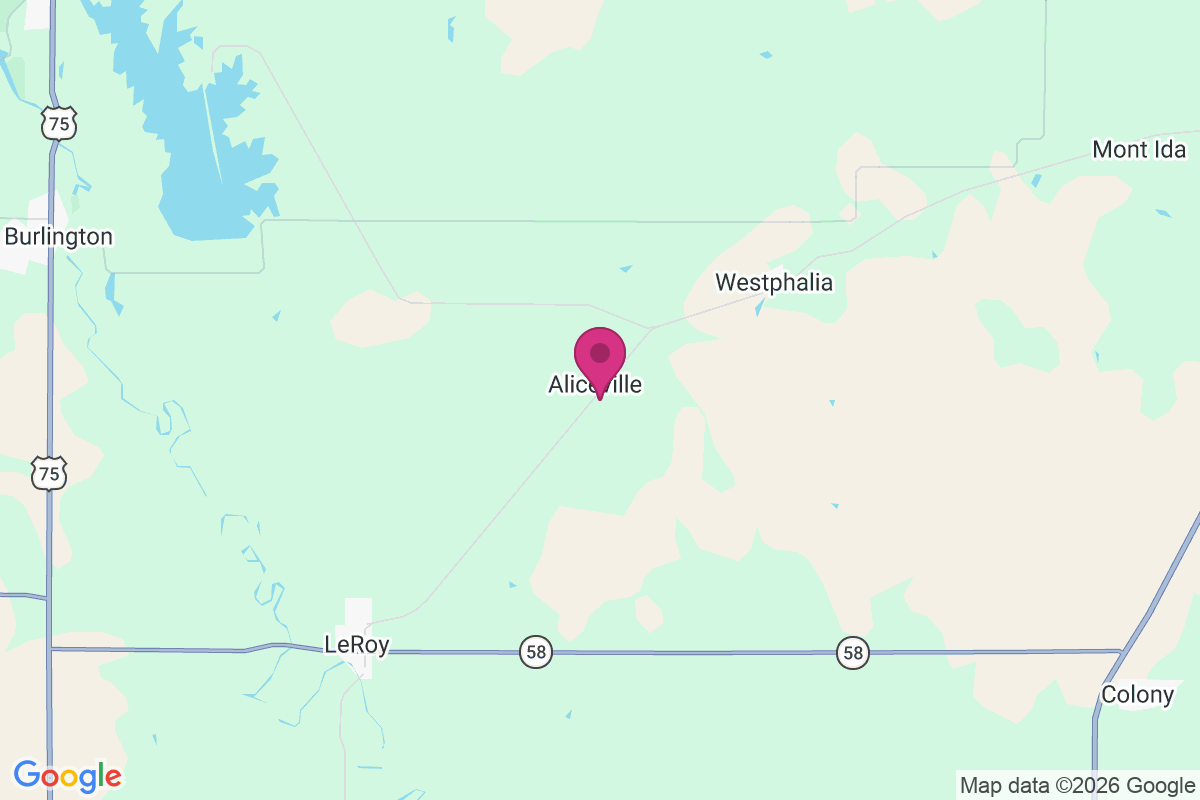 Aliceville map