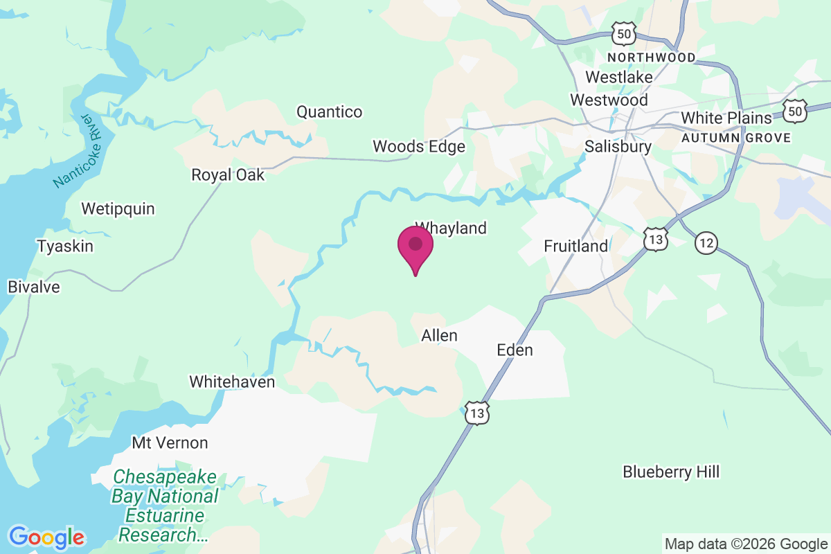 Twiggs Corner map