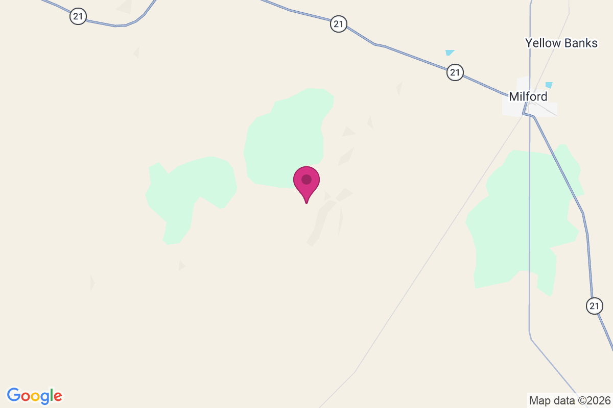 Shauntie map