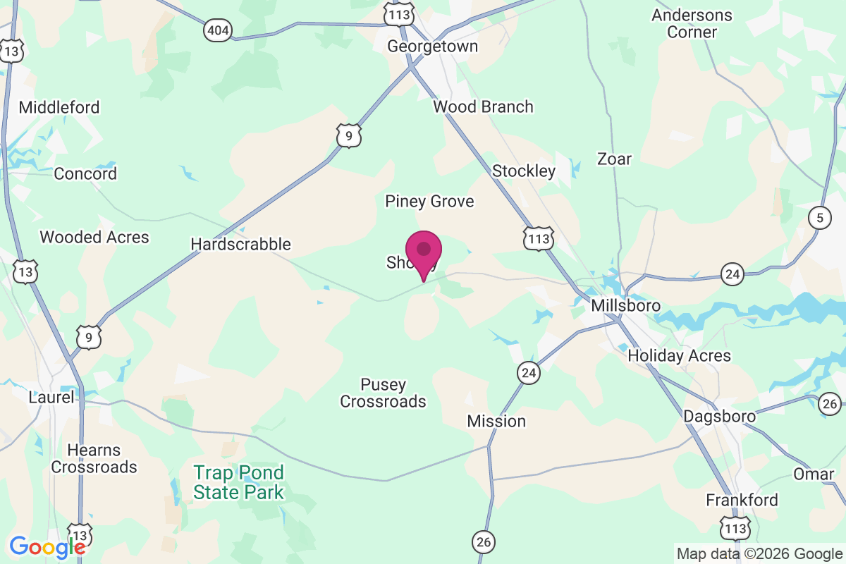 Shortly map
