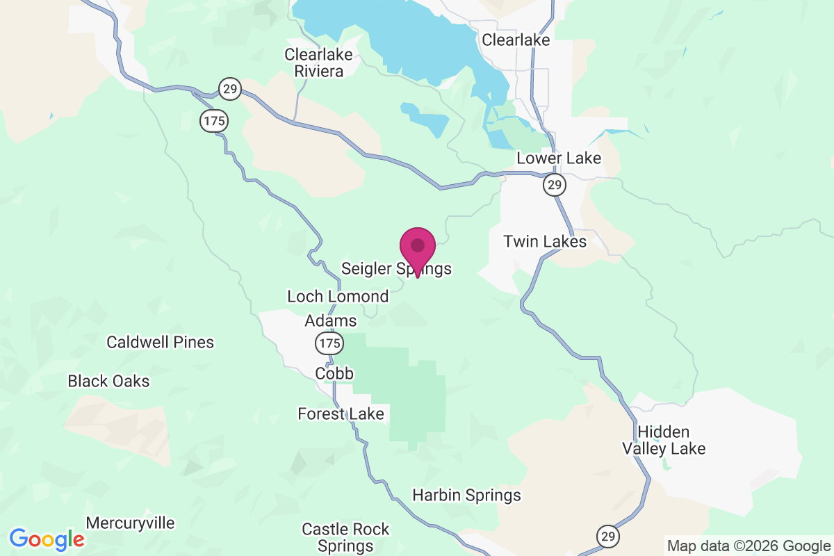 Seigler Springs map