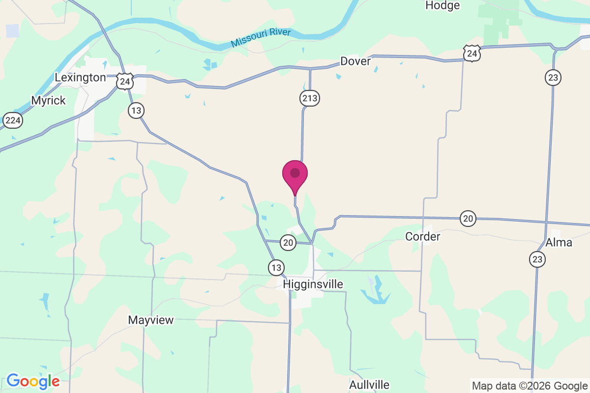 Page City map