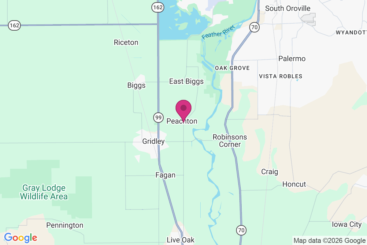 Peachton map