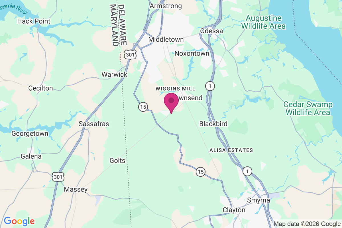 Meadow Vista map