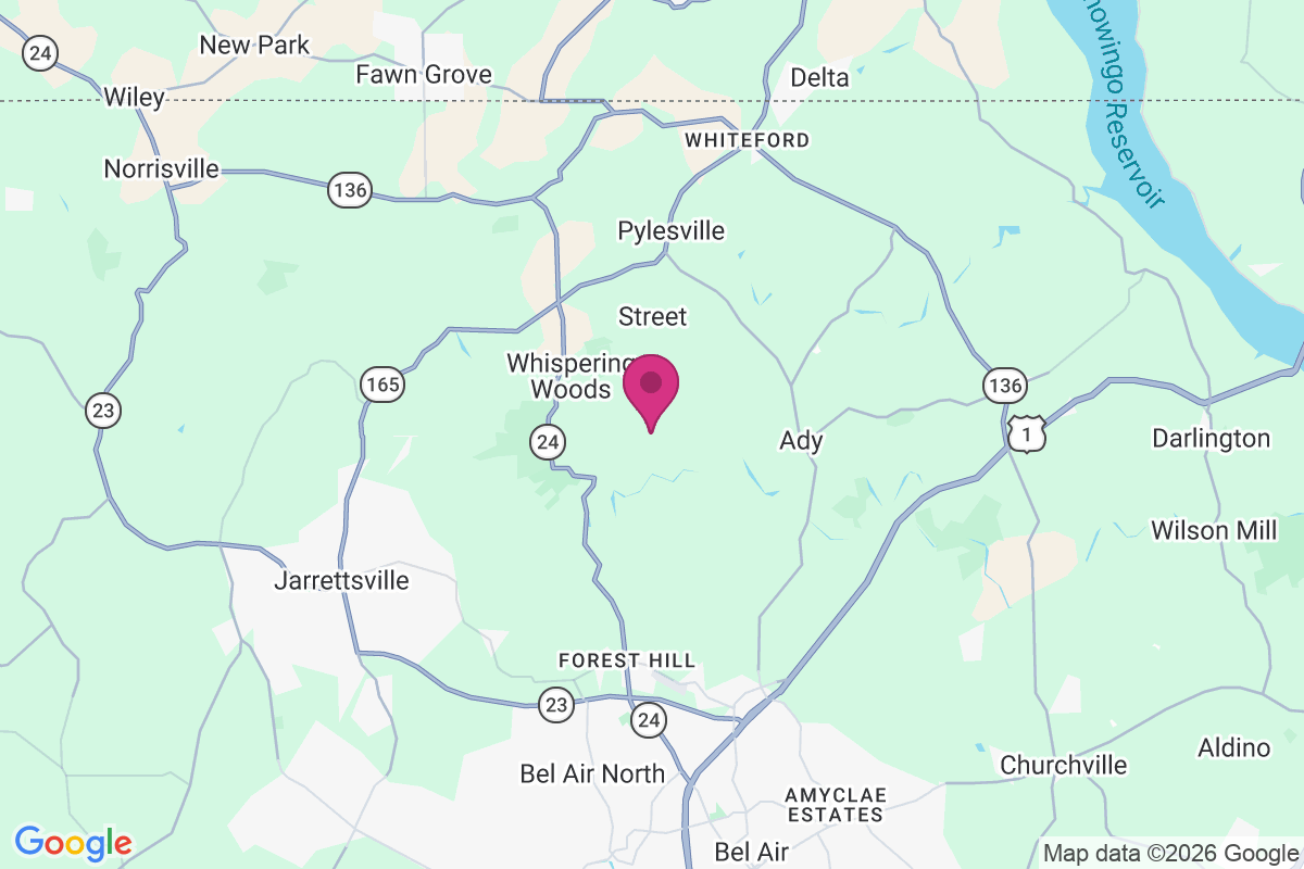 Rockridge Forest map