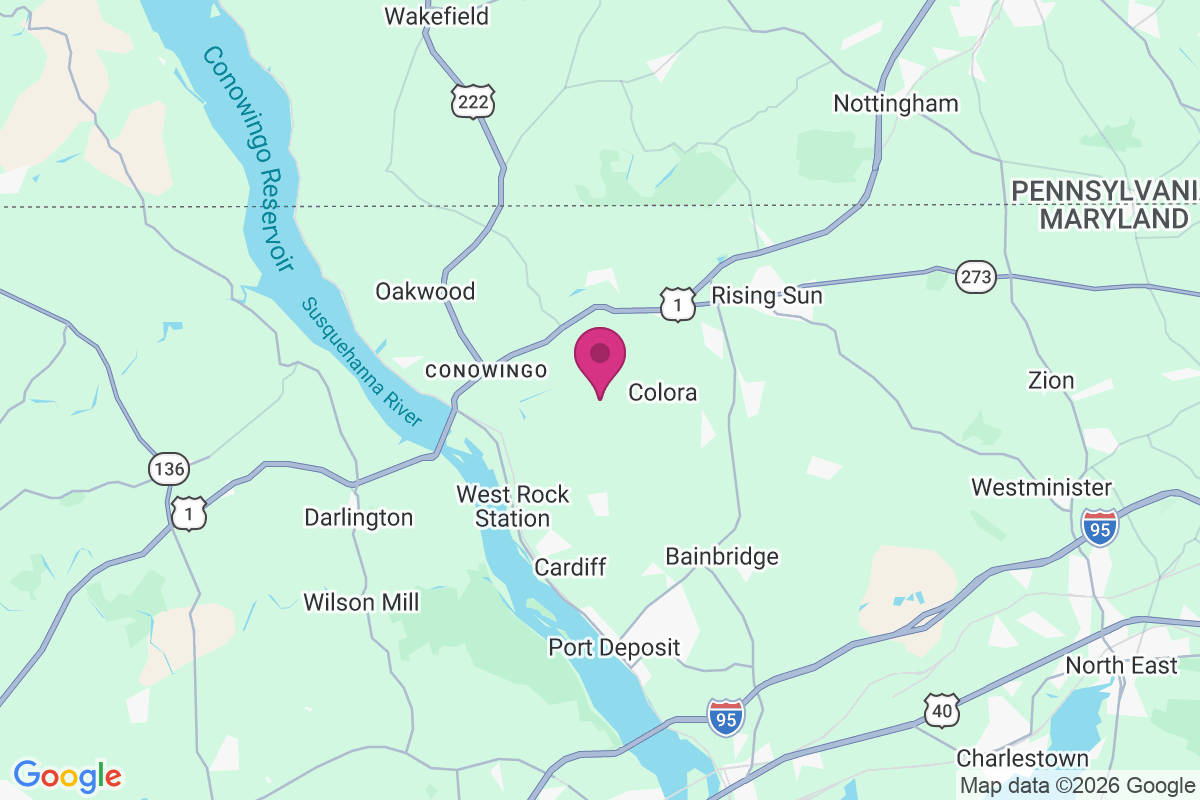 Mount Pleasant View map