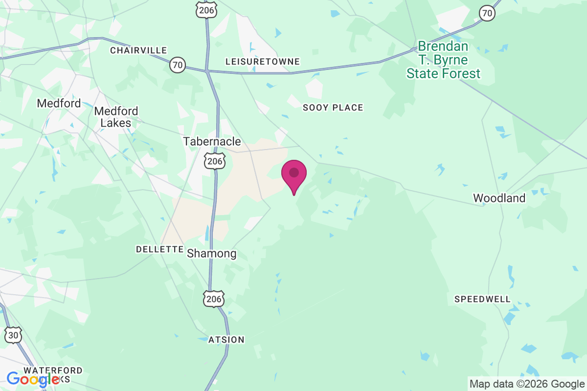 Bozuretown map