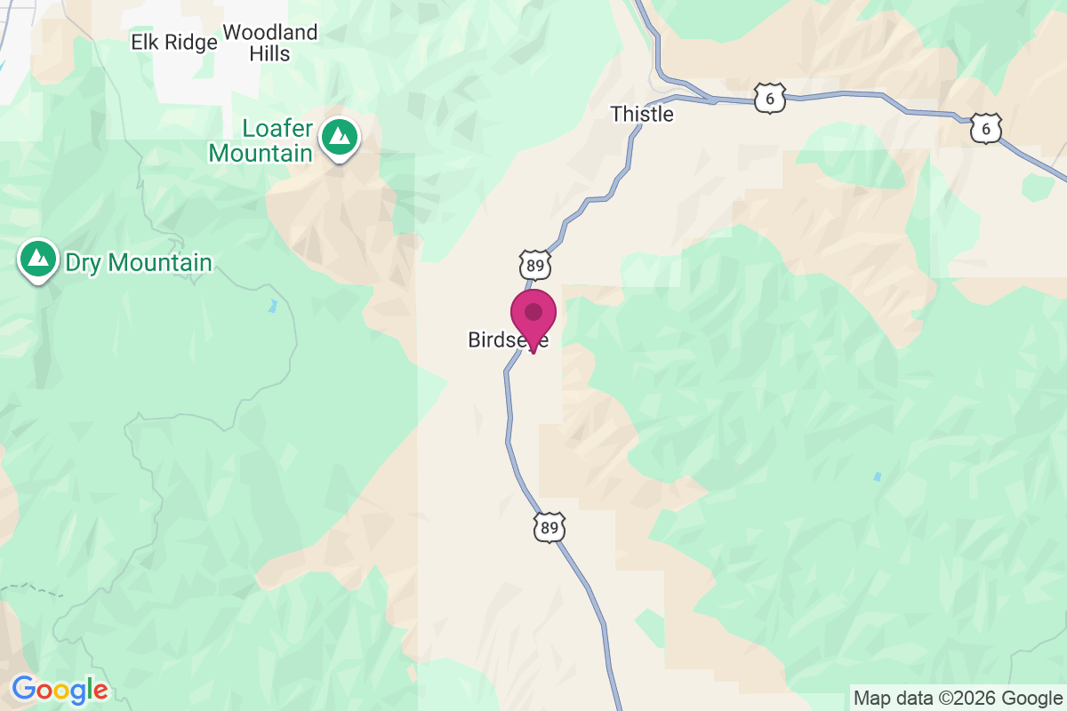 Birdseye map