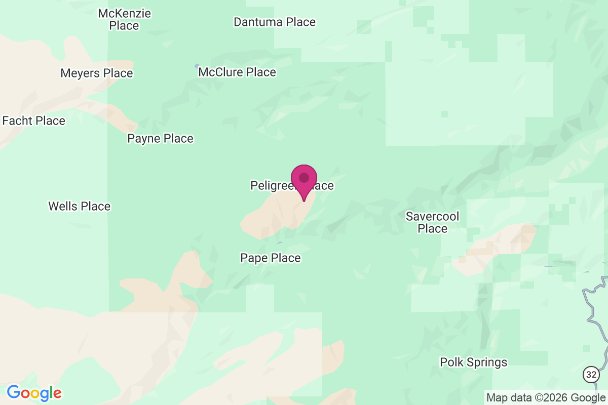 Peligreen Place map