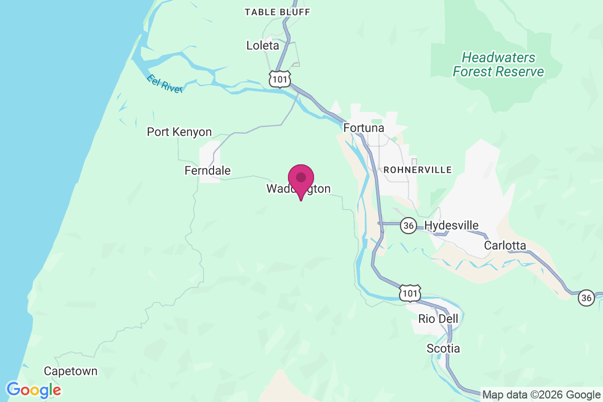 Waddington map