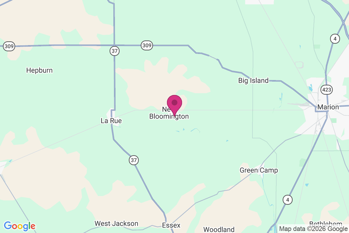New Bloomington map