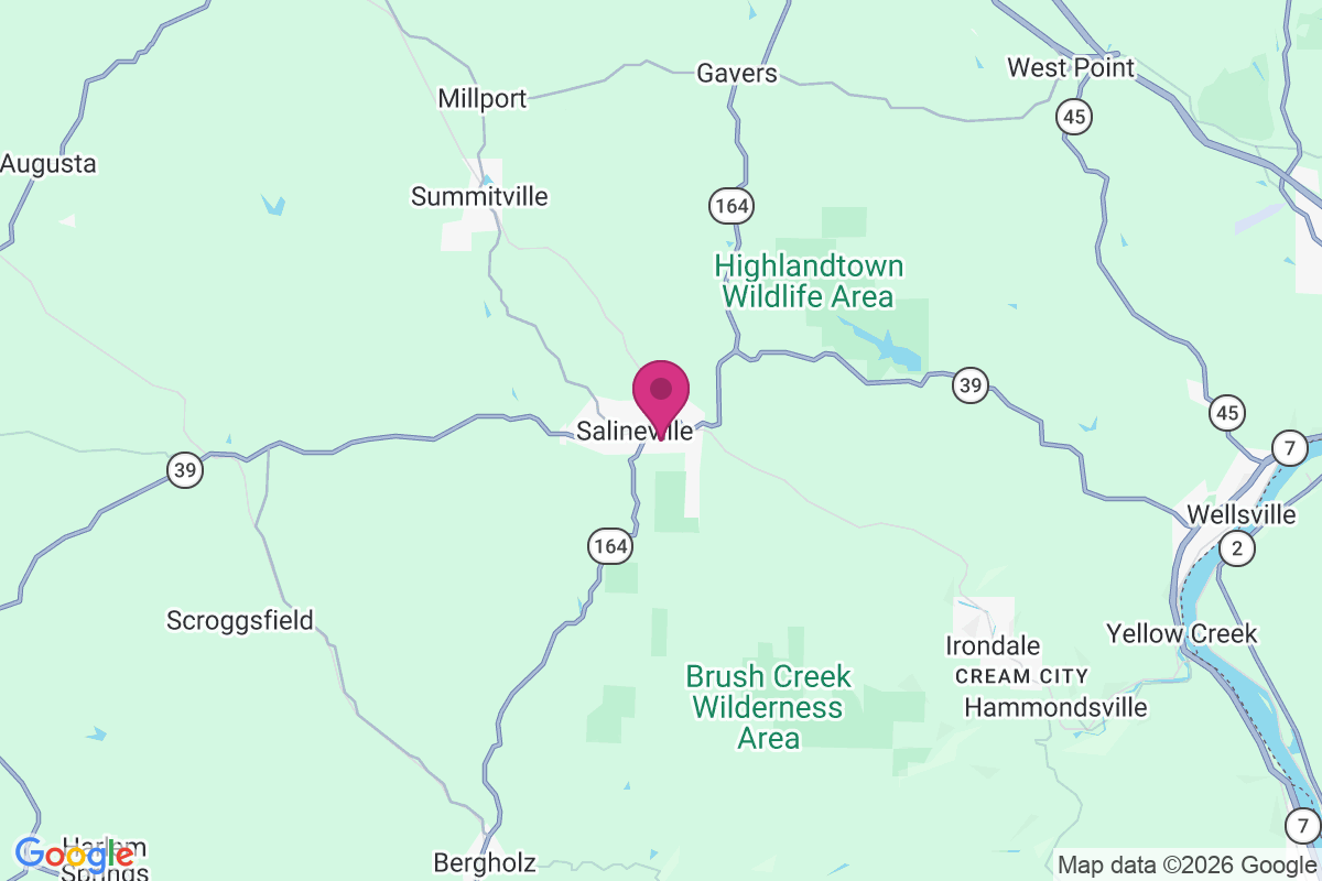 Salineville map
