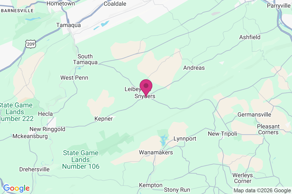 Snyders map