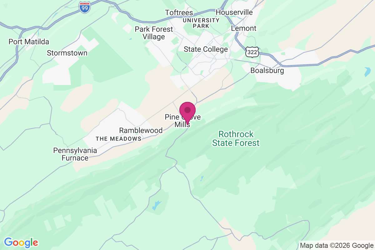 Pine Grove Mills map
