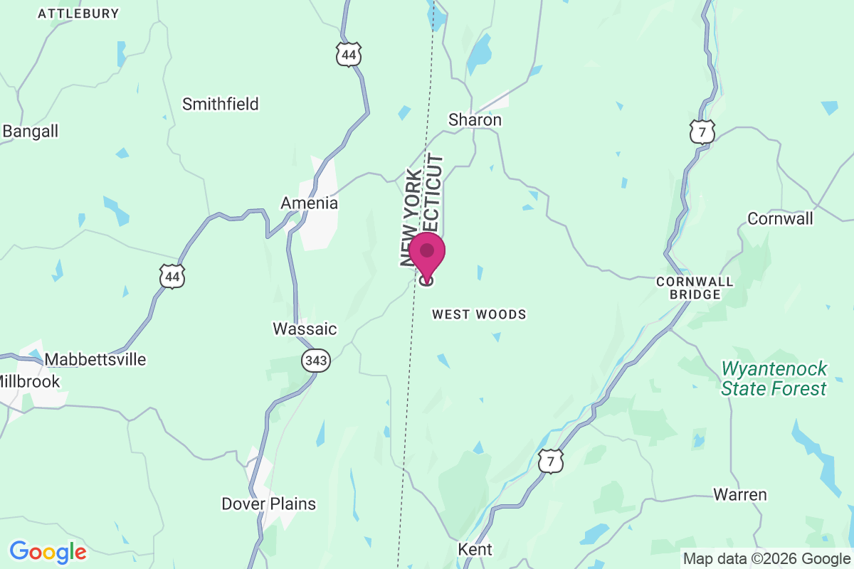 Amenia Union map