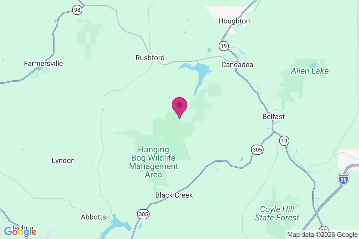 McGrawville map