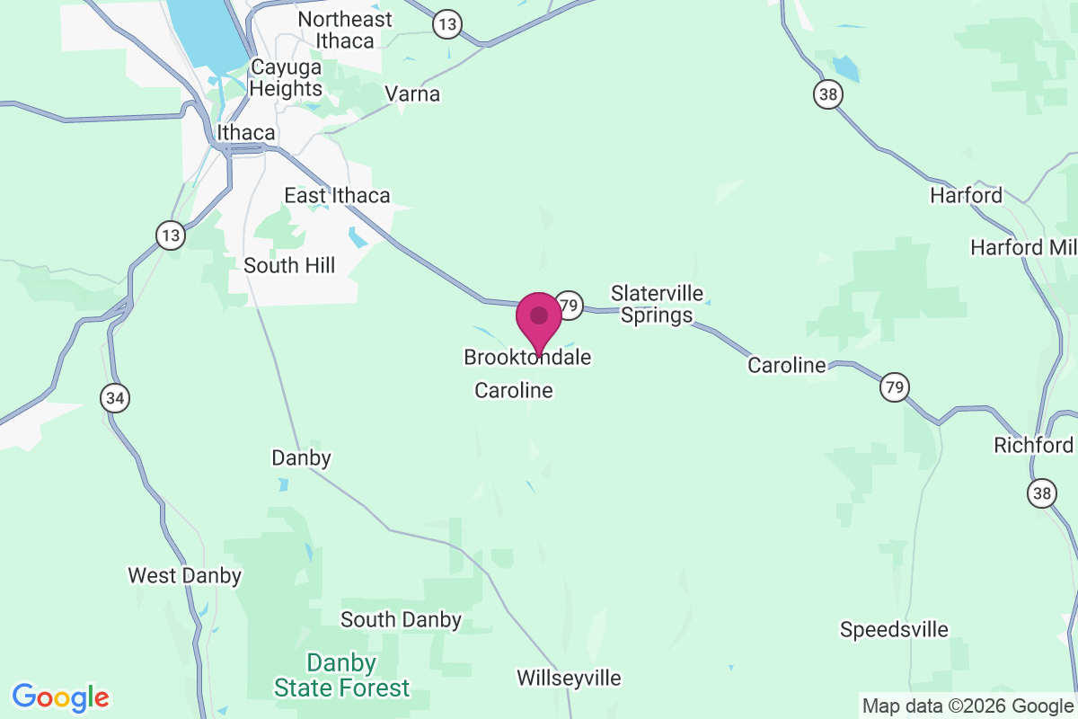 Brooktondale map