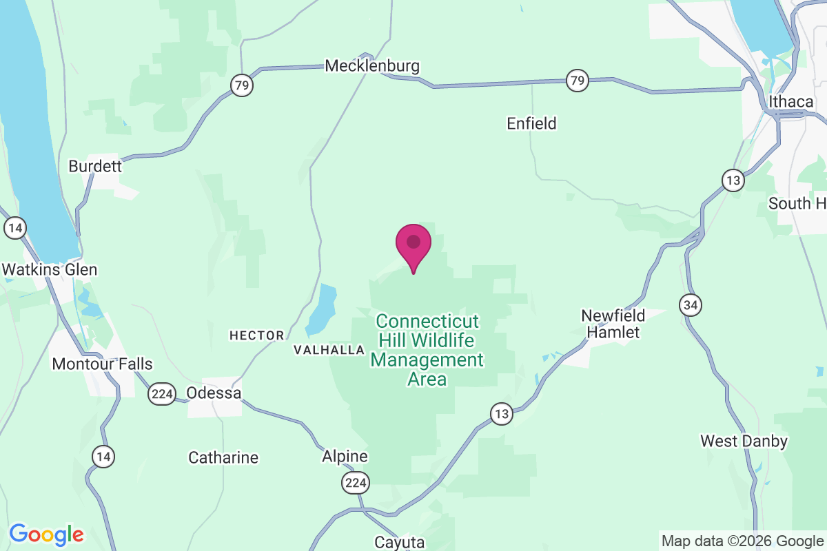 Cayutaville map