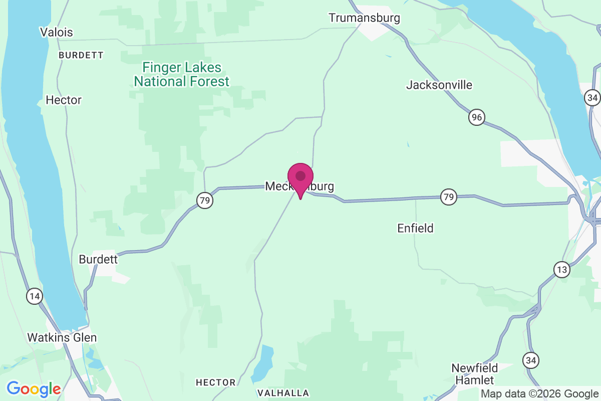 Mecklenburg map