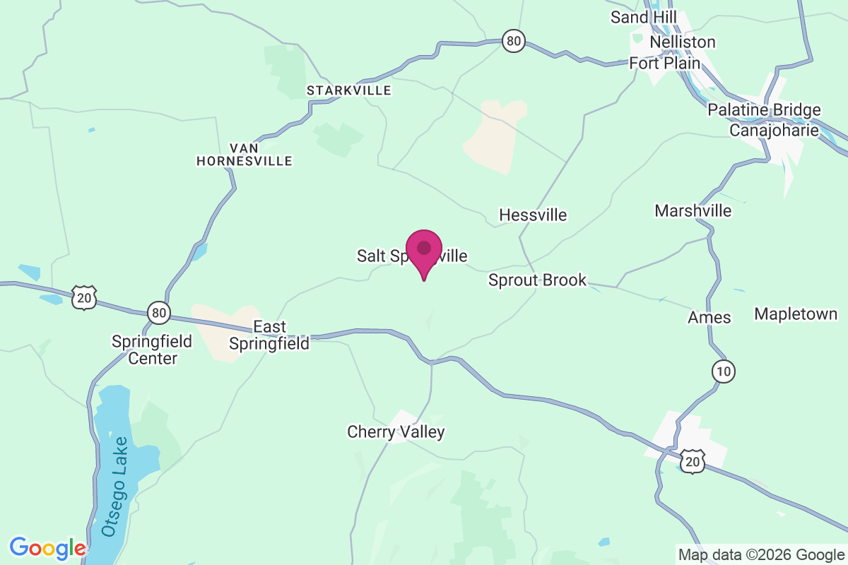 Salt Springville map