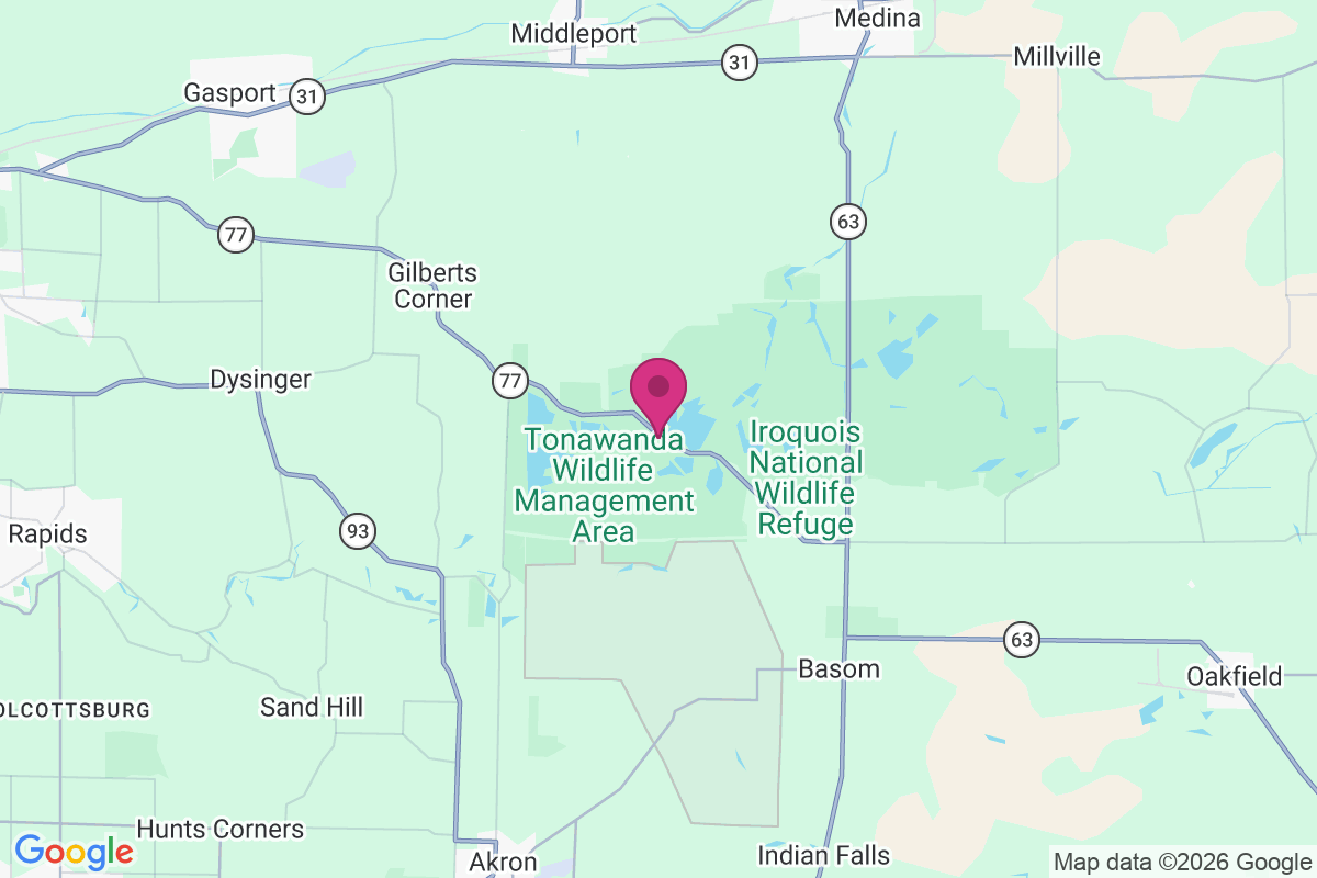 West Alabama map