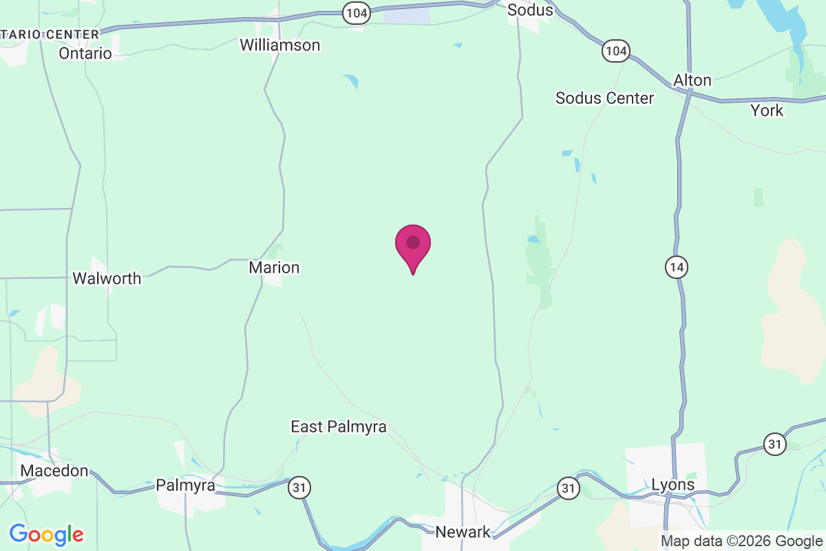 Minsteed map