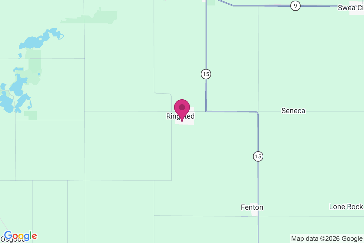 Ringsted map