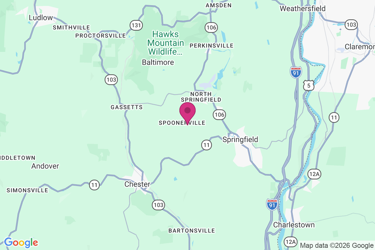 Spoonerville map
