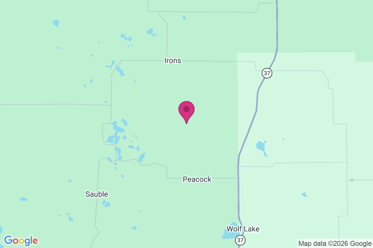 Little Manistee map