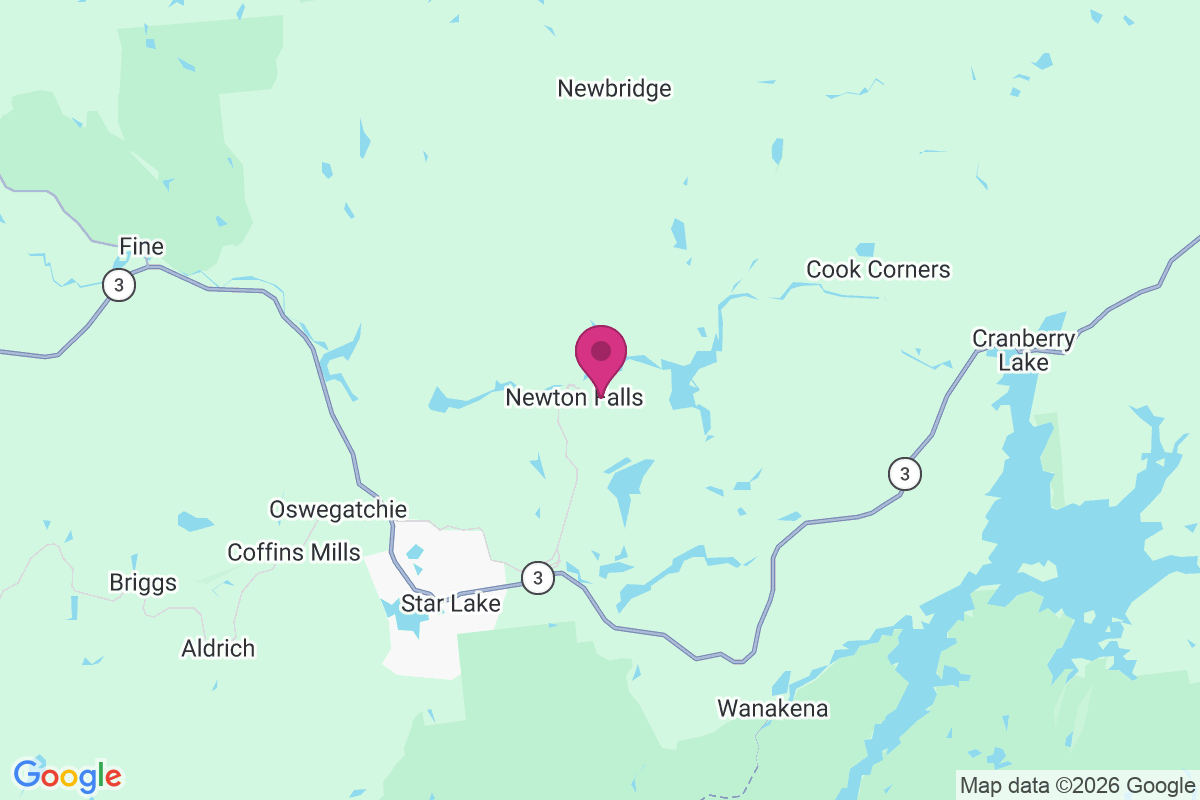 Newton Falls map