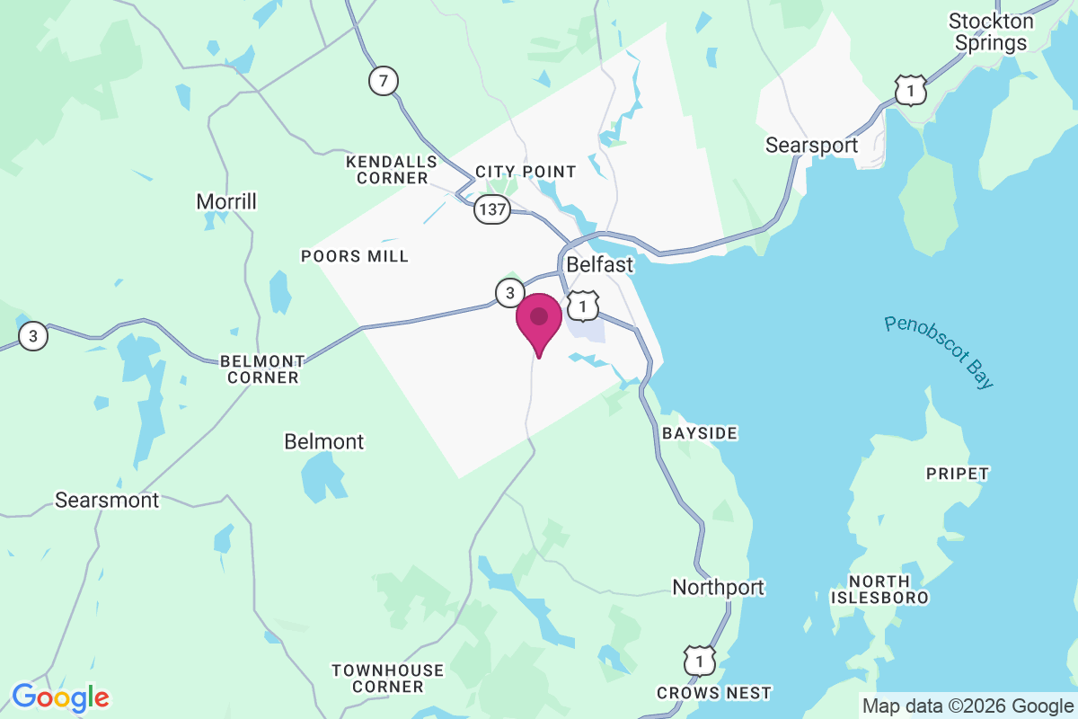 Dog Island Corner map