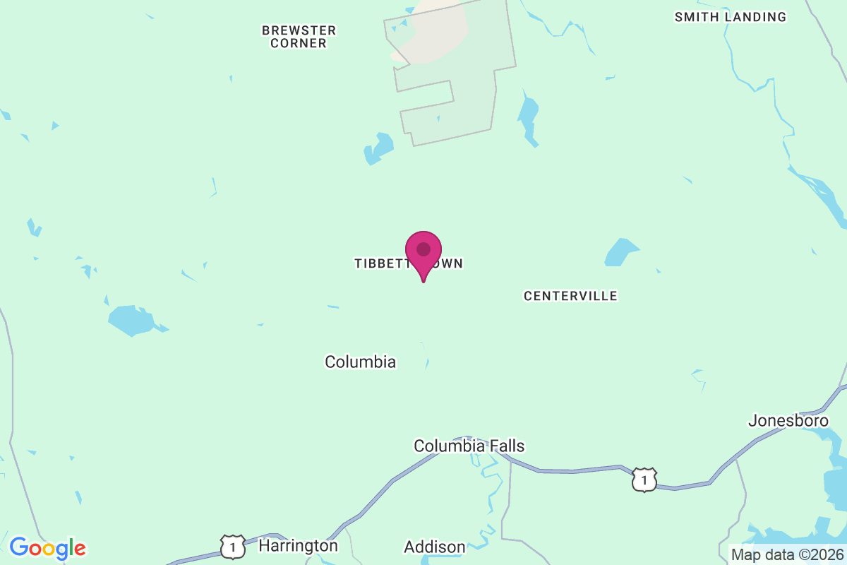 Tibbettstown map