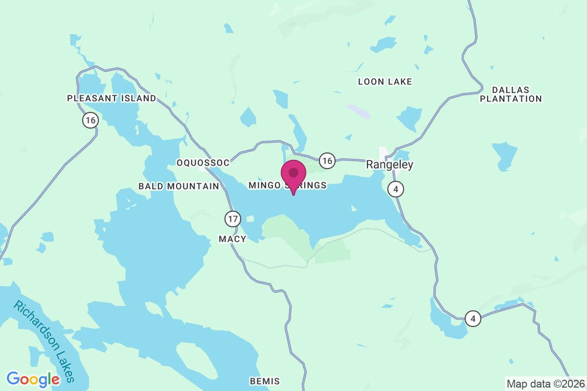 Mingo Springs map