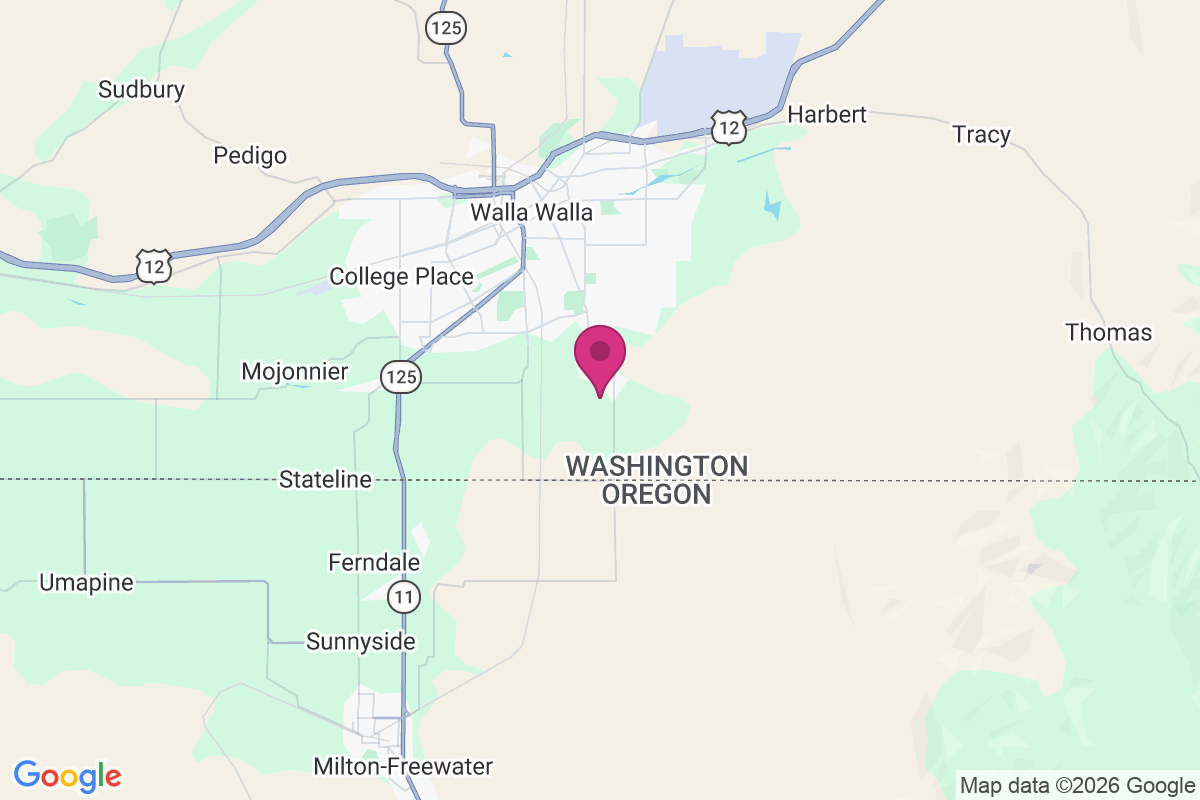 Baker-Langdon map