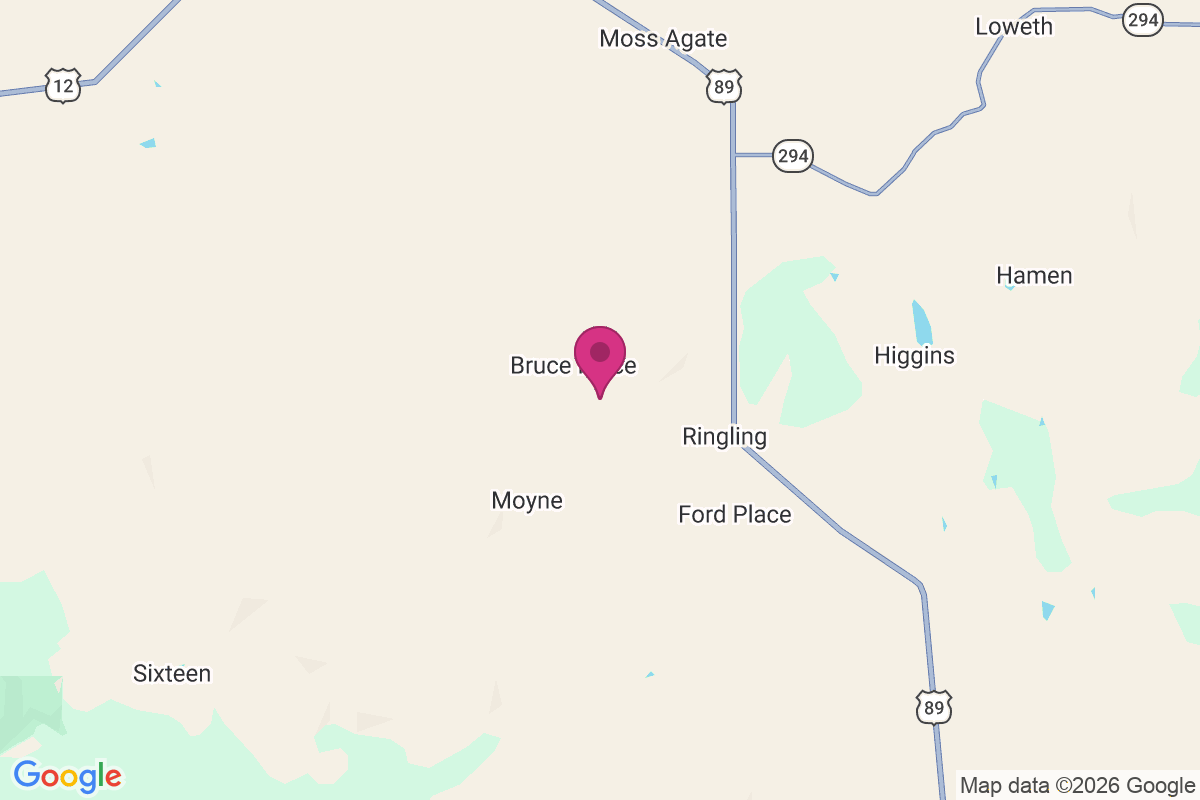 Bruce Place map