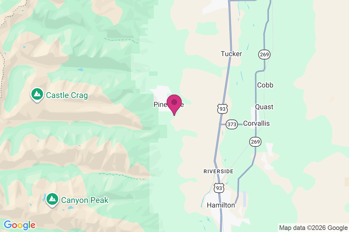 Pinesdale map