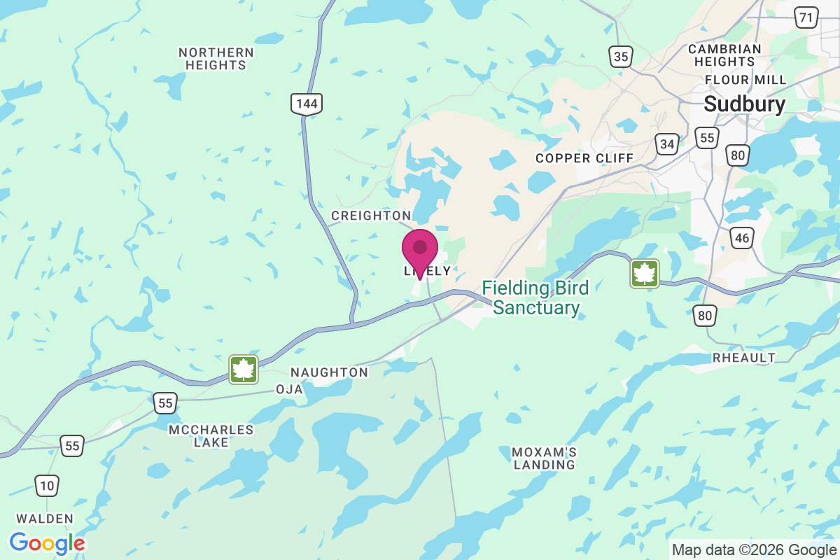 Lively map