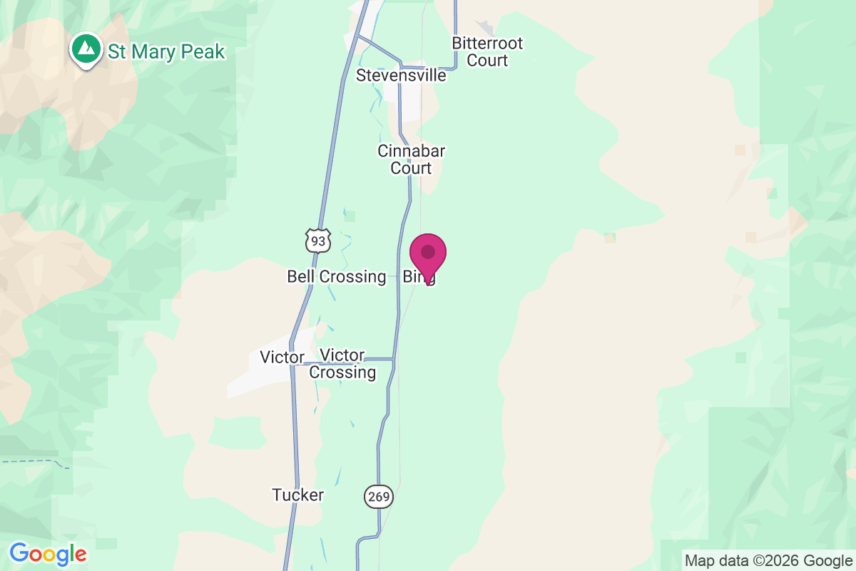 Bing map