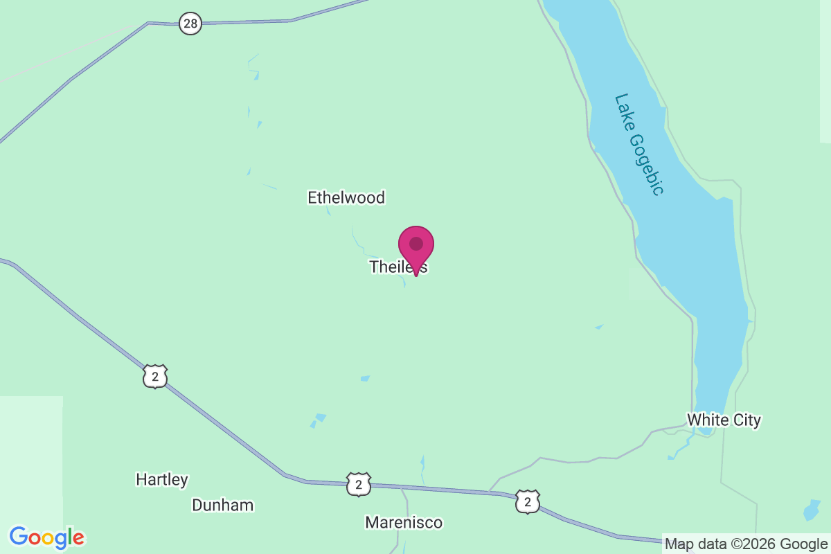 Theilers map