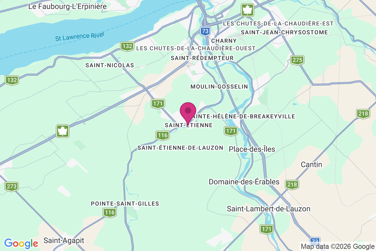 Saint-Etienne map