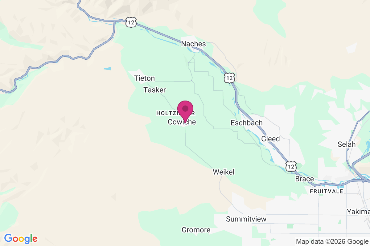 Holtzinger map